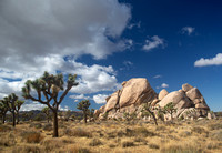 Rocks of volcanic origin