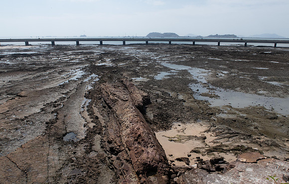 Panama city, low tide